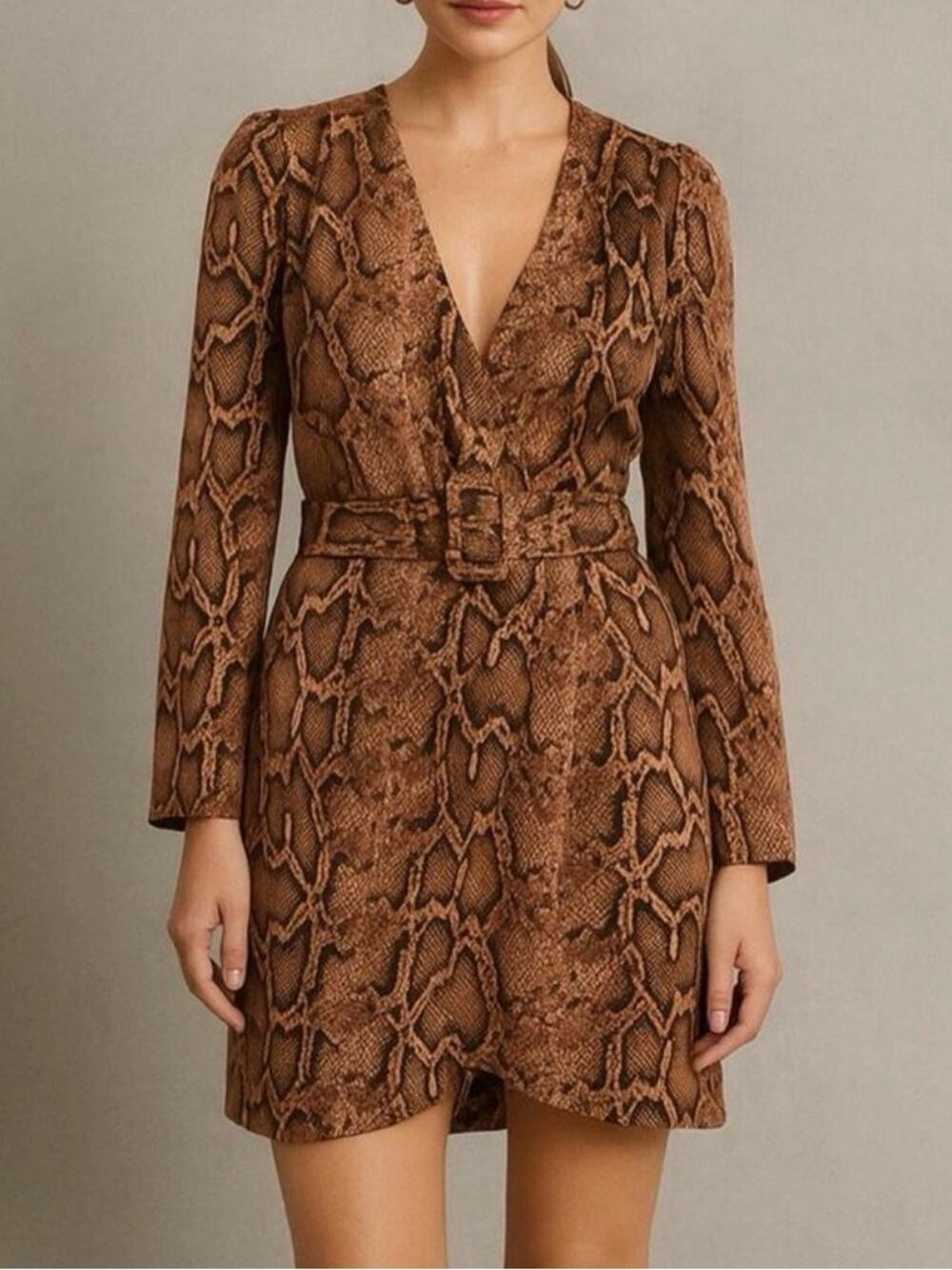 Zara Brown Snake-Print Wrap Mini Dress